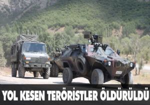 Yol kesen bölücüler öldürüldü